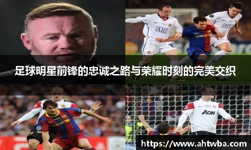 jbo竞博电竞官方网站
